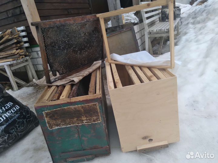 Ловушки для пчёл