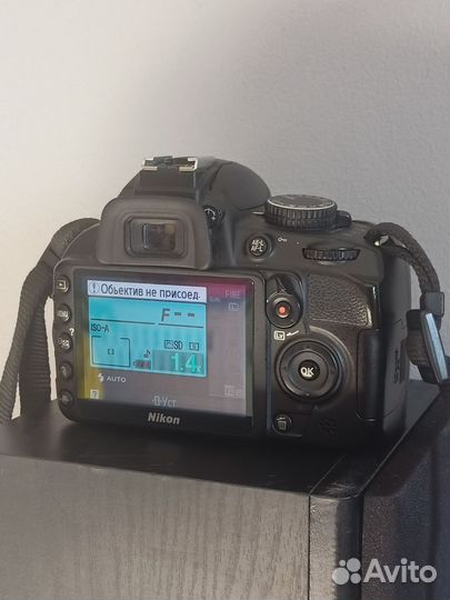 Nikon D3100
