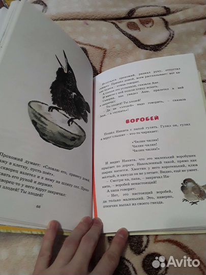 Е.Чарушин Друзья новая книга