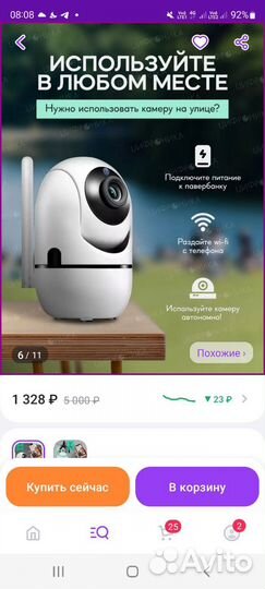 Радио и видео няня