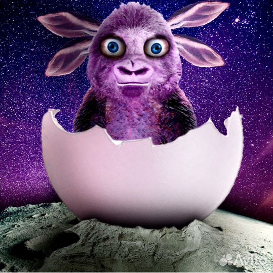 Услуги фотошопа