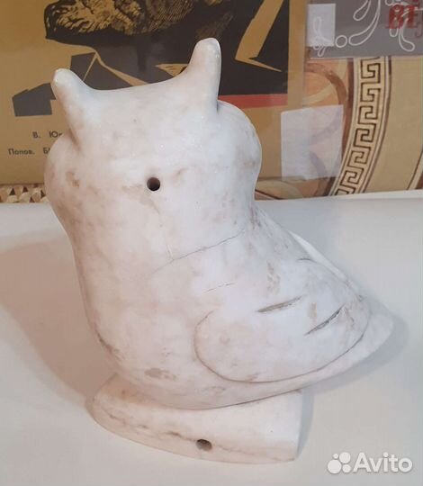 Ночник (сова )