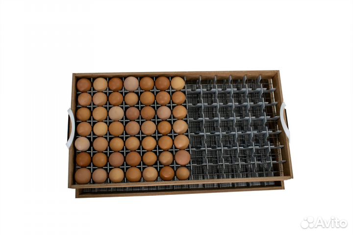 Перегородки в лоток для инкубатора Норма Урал 195