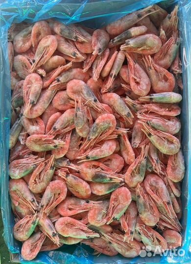 Креветки северные 70/90