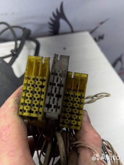 Проводка Двигателя Man Tgl Tgm