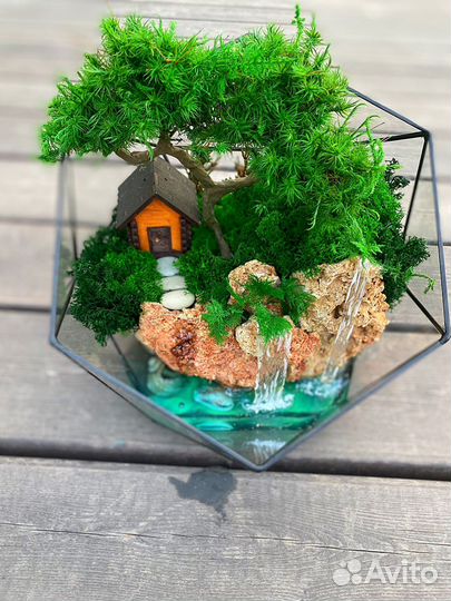 Моссариум /Флорариум /Подарок/Цветы
