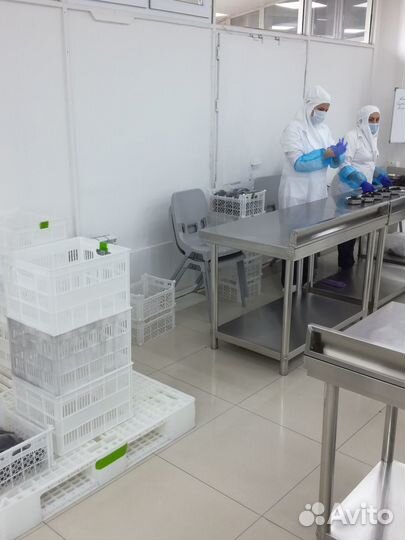 Услуги фасовки и упаковки продуктов питания