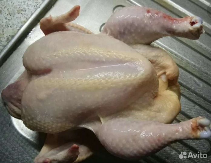 Мясо домашнего бройлера