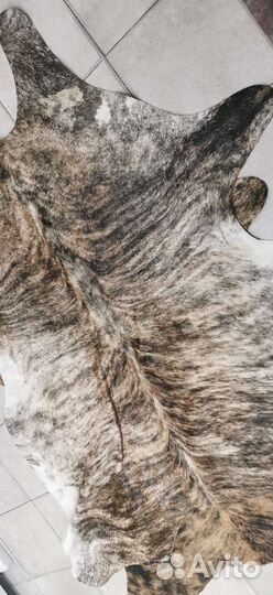 Натуральная коровья шкура/ ковёр