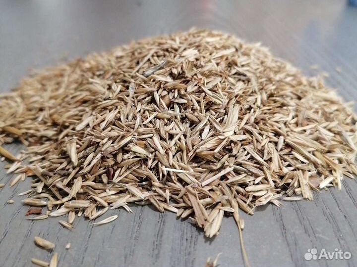 Семена газонной травы, газон, травосмесь