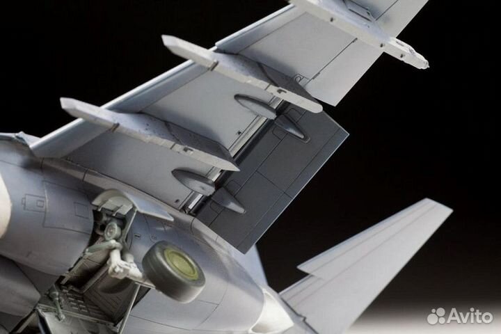 Сборная модель самолета Звезда 4821П 1/48