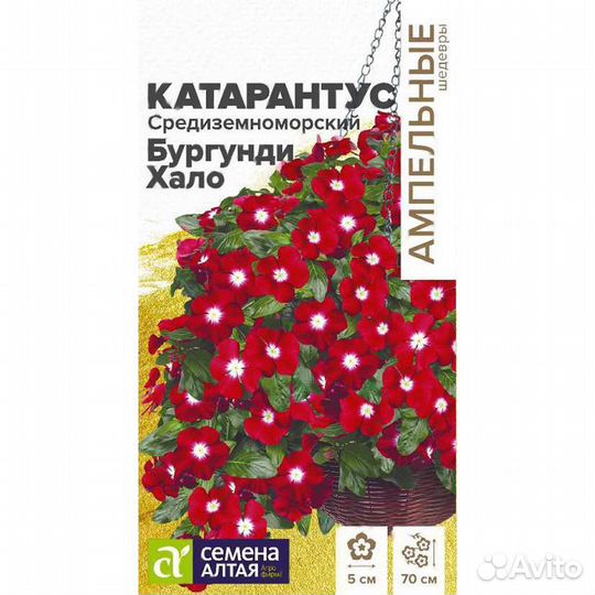Катарантус Средиземноморский Бургунди Хало