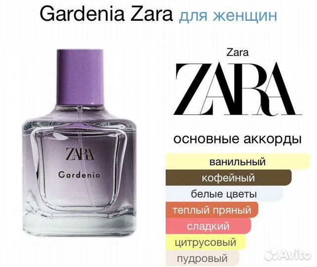 Gardenia Zara