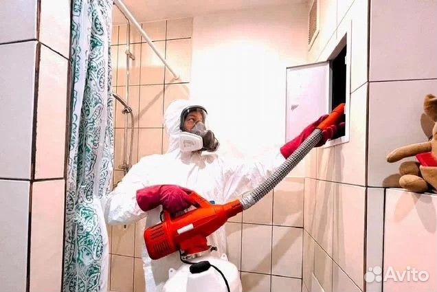 Уничтожение тараканов клопов Дезинфекция Травля