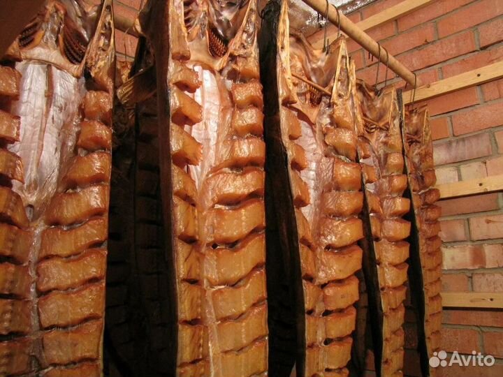 Рыба холодного копчения