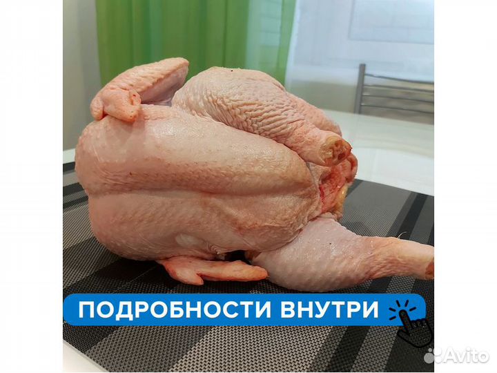 Курица