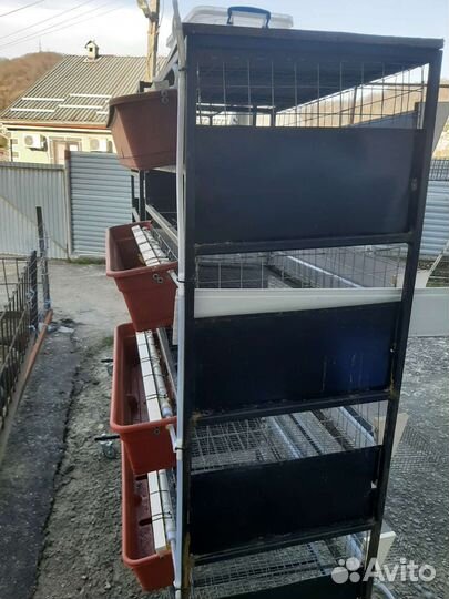 Клетка для перепелов 4 ярусная