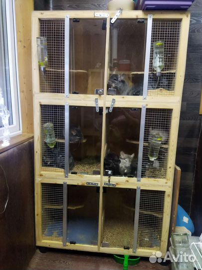 Клетка, стеллаж, домашний зоопарк