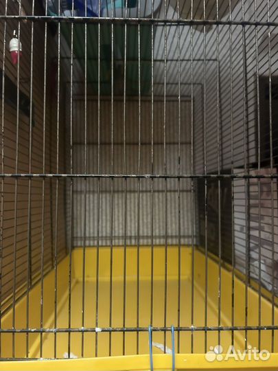 Клетка для попугая