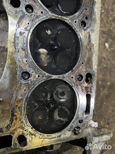 Nissan Primera головка двигателя QG18