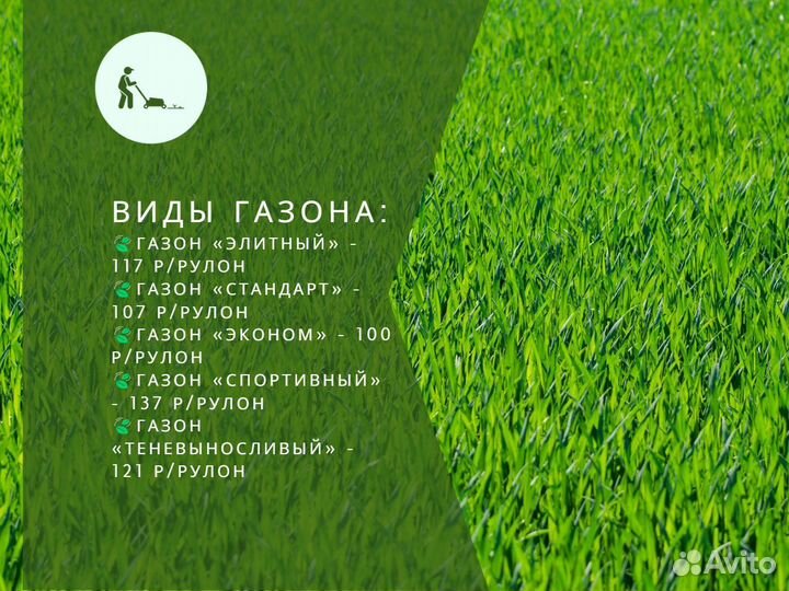 Укладка и продажа рулонного газона