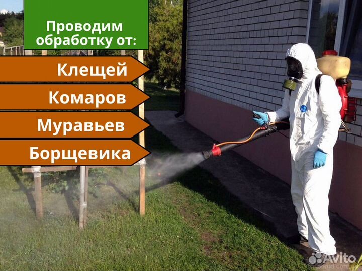 Обработка от клещей / уничтожение клопов