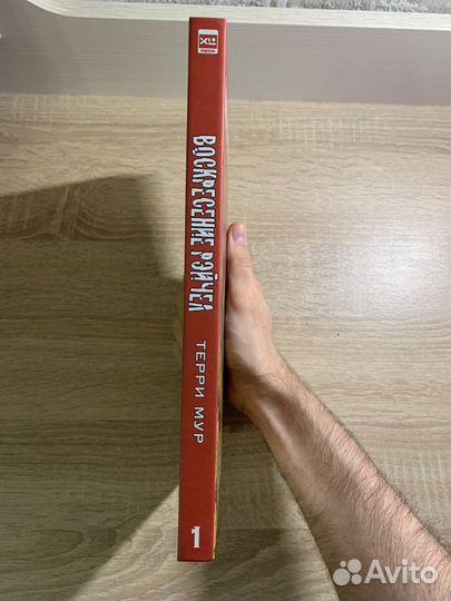 Комикс «Воскресение Рейчел». Книга 1. Тень смерти