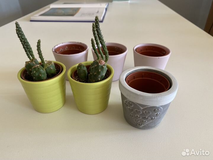 Керамические горшки