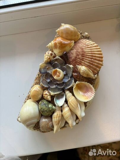 Шкатулка из ракушек