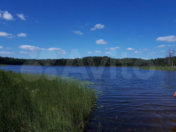 Участок 5 га (СНТ, ДНП)