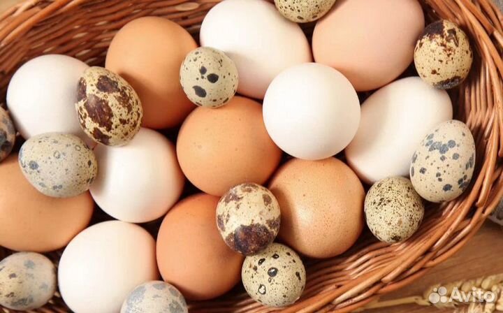 Яйца куриные, перепелиные