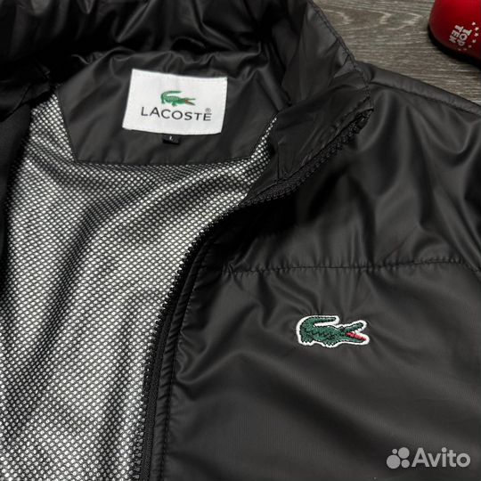 Lacoste весна