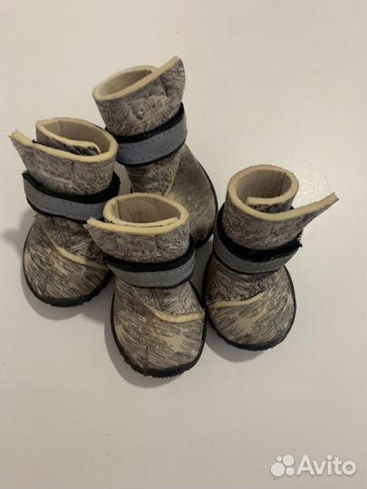 Ботинки для собак