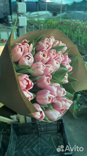 Цветы на заказ на 8 марта