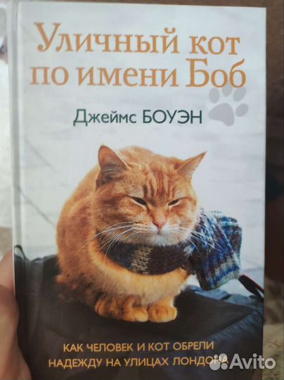 Уличный кот по имени Боб