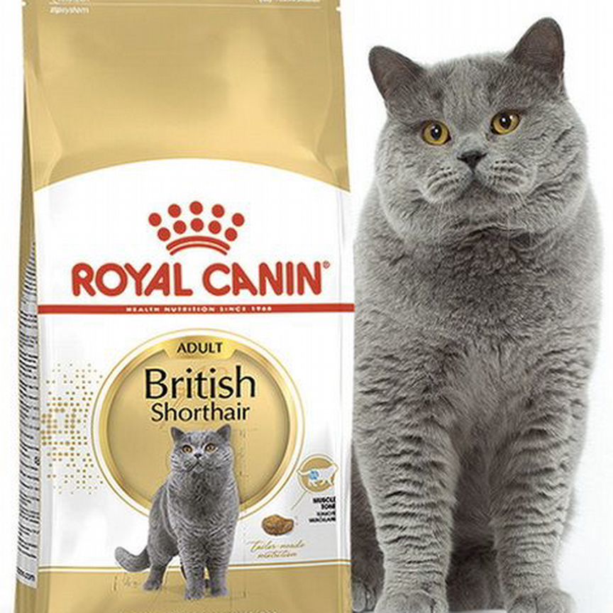 Корм д/кошек Royal Canin British Shorthair Adult 6