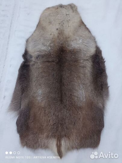 Шкуры оленя сушёные