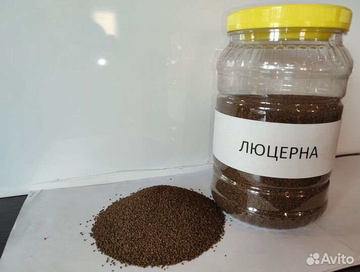 Семена люцерны