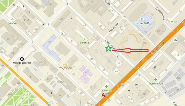 Первая линия 80м²