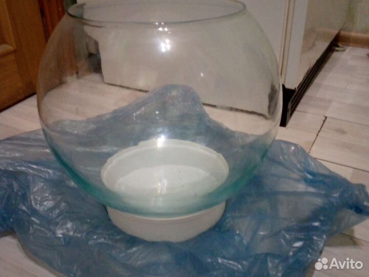 Аквариумные рыбки