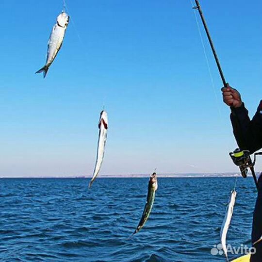 Ставки для рыбалки