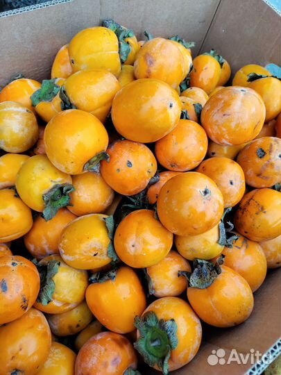 Хурма королек и гранат