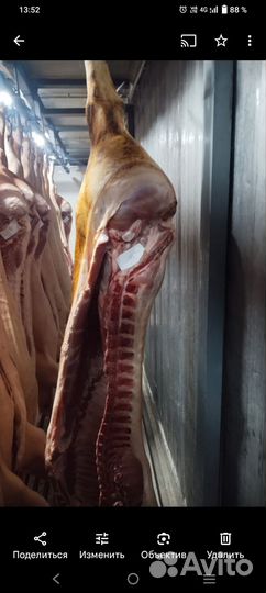 Мясо свинина