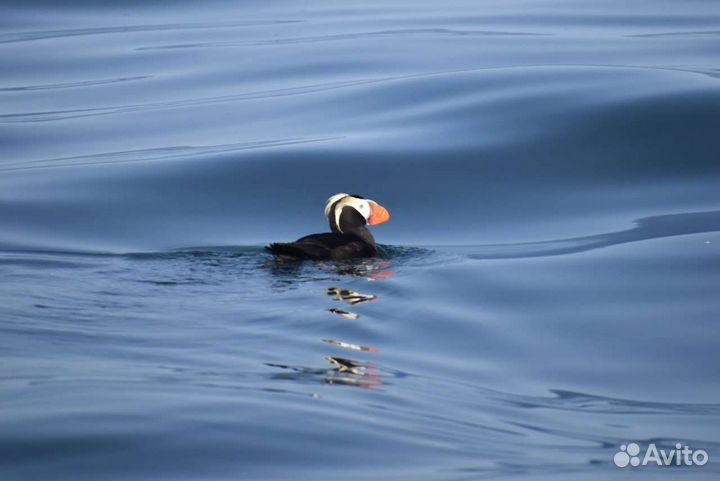 Морская прогулка на парусной яхте