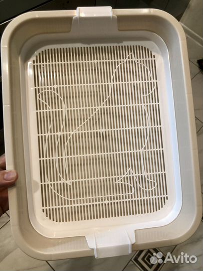 Лоток для котят/кошки