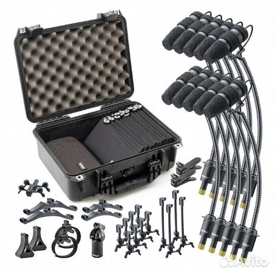 DPA 4099 core Classic Touring Kit KIT-4099-DC-10C