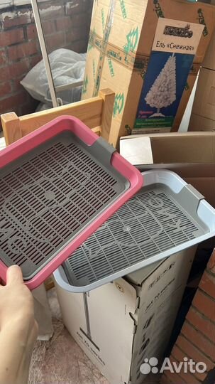 Кошачий лоток