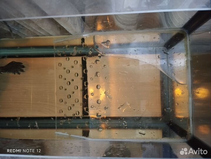 Аквариум для красноухой черепахи