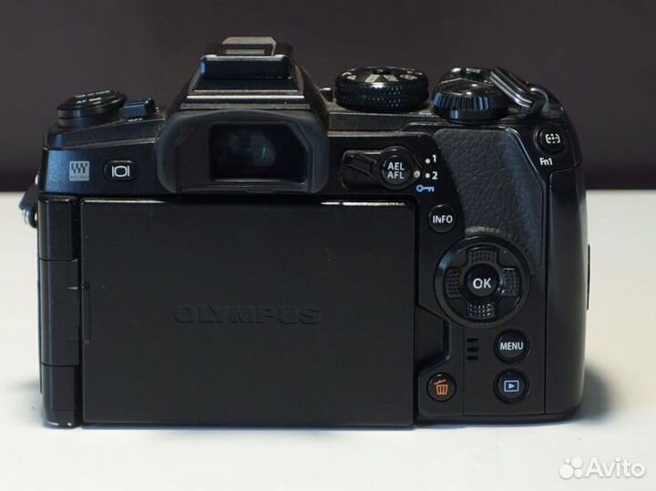 Olympus OM-D E-M1 Mark II body