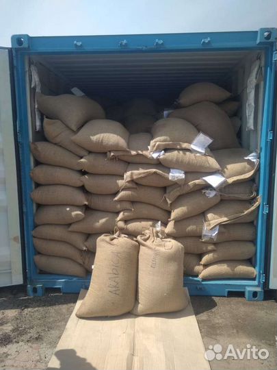 Зеленый кофе, опт. Робуста и арабика Вьетнам